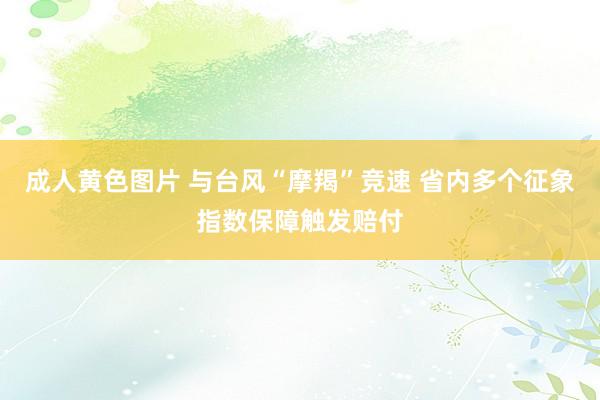 成人黄色图片 与台风“摩羯”竞速 省内多个征象指数保障触发赔付