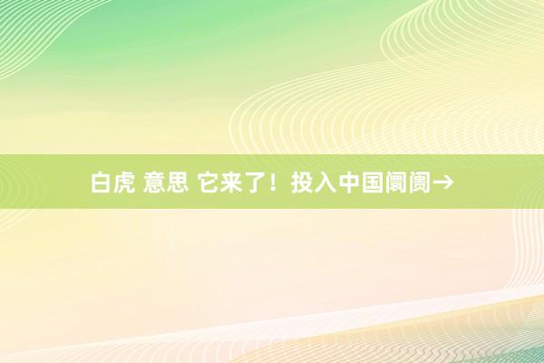白虎 意思 它来了！投入中国阛阓→