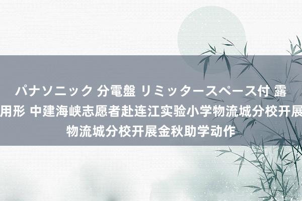 パナソニック 分電盤 リミッタースペース付 露出・半埋込両用形 中建海峡志愿者赴连江实验小学物流城分校开展金秋助学动作