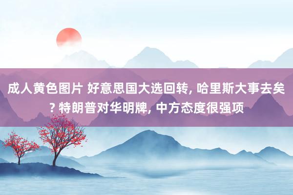 成人黄色图片 好意思国大选回转， 哈里斯大事去矣? 特朗普对华明牌， 中方态度很强项
