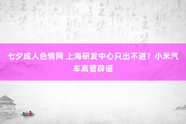 七夕成人色情网 上海研发中心只出不进？小米汽车高管辟谣