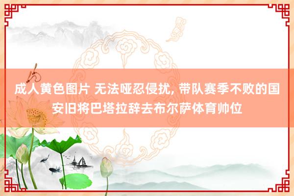 成人黄色图片 无法哑忍侵扰， 带队赛季不败的国安旧将巴塔拉辞去布尔萨体育帅位