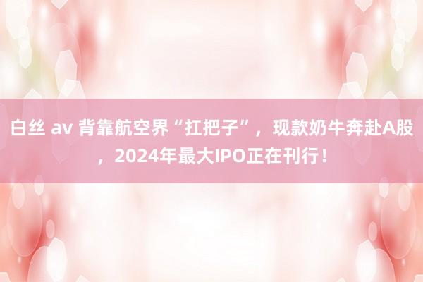 白丝 av 背靠航空界“扛把子”，现款奶牛奔赴A股，2024年最大IPO正在刊行！