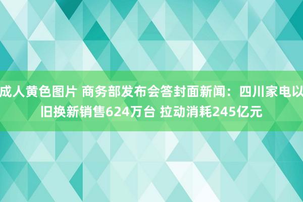 成人黄色图片 商务部发布会答封面新闻：四川家电以旧换新销售624万台 拉动消耗245亿元