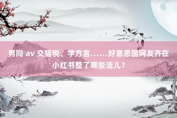 男同 av 交猫税、学方言……好意思国网友齐在小红书整了哪些活儿？