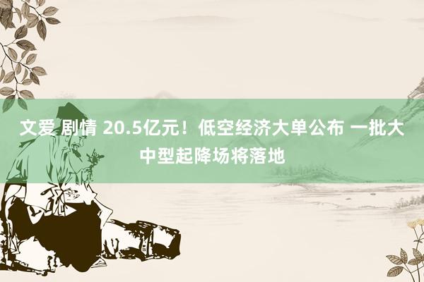 文爱 剧情 20.5亿元！低空经济大单公布 一批大中型起降场将落地