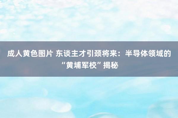 成人黄色图片 东谈主才引颈将来：半导体领域的“黄埔军校”揭秘