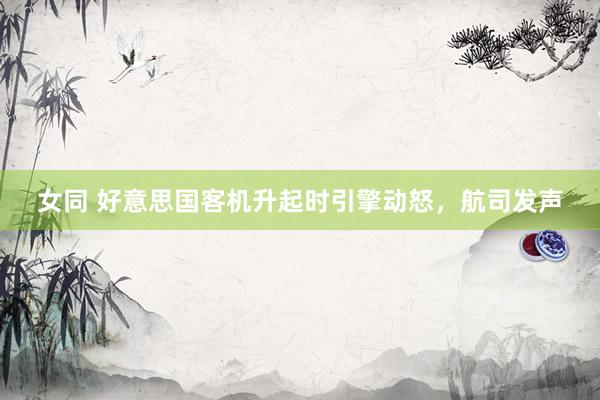 女同 好意思国客机升起时引擎动怒，航司发声