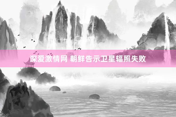 深爱激情网 朝鲜告示卫星辐照失败