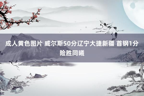 成人黄色图片 威尔斯50分辽宁大捷新疆 首钢1分险胜同曦