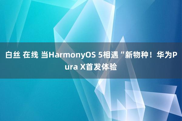 白丝 在线 当HarmonyOS 5相遇“新物种！华为Pura X首发体验
