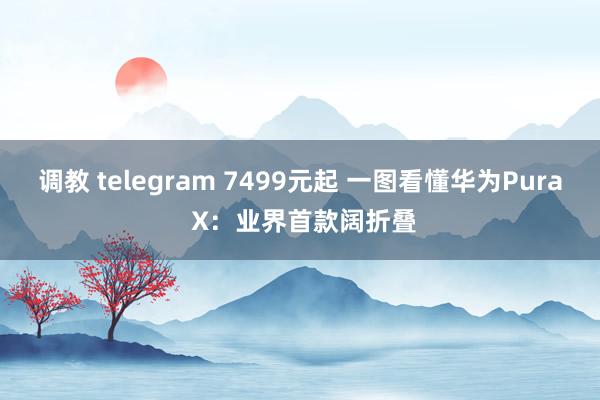 调教 telegram 7499元起 一图看懂华为Pura X：业界首款阔折叠