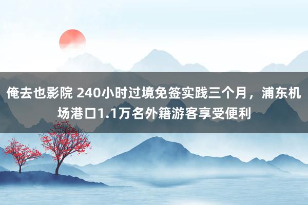 俺去也影院 240小时过境免签实践三个月，浦东机场港口1.1万名外籍游客享受便利