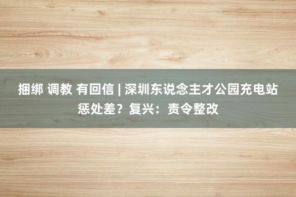 捆绑 调教 有回信 | 深圳东说念主才公园充电站惩处差？复兴：责令整改