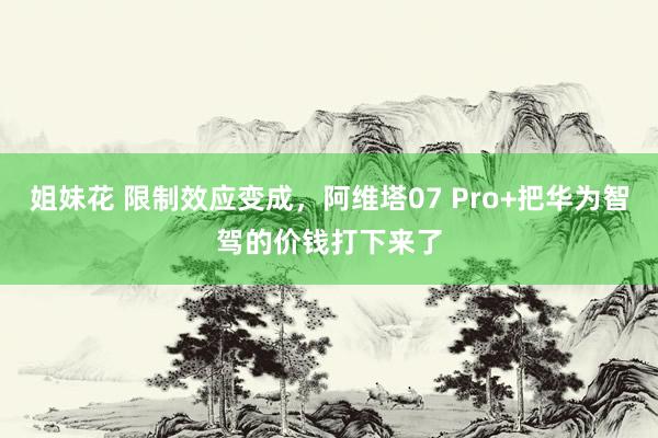 姐妹花 限制效应变成，阿维塔07 Pro+把华为智驾的价钱打下来了