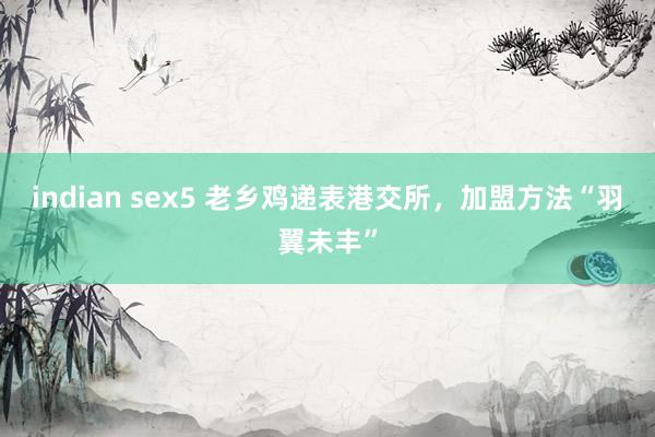 indian sex5 老乡鸡递表港交所，加盟方法“羽翼未丰”