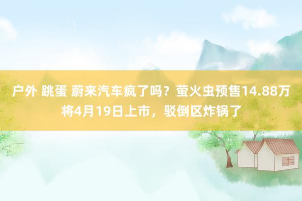 户外 跳蛋 蔚来汽车疯了吗？萤火虫预售14.88万将4月19日上市，驳倒区炸锅了