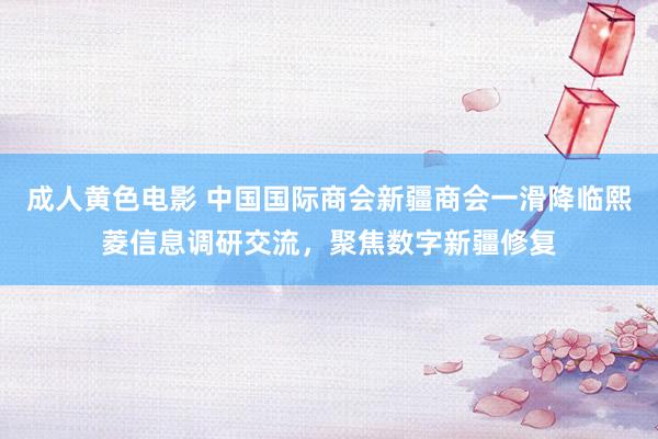 成人黄色电影 中国国际商会新疆商会一滑降临熙菱信息调研交流，聚焦数字新疆修复