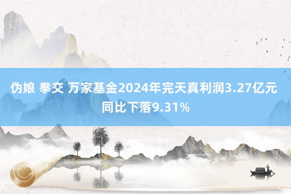 伪娘 拳交 万家基金2024年完天真利润3.27亿元 同比下落9.31%