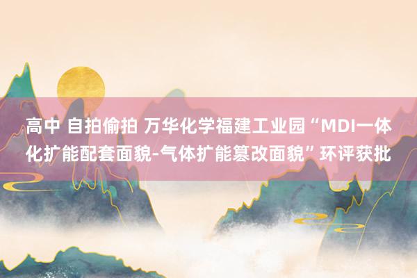 高中 自拍偷拍 万华化学福建工业园“MDI一体化扩能配套面貌-气体扩能篡改面貌”环评获批