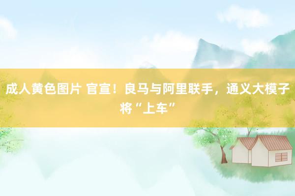 成人黄色图片 官宣！良马与阿里联手，通义大模子将“上车”