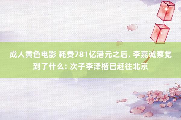 成人黄色电影 耗费781亿港元之后， 李嘉诚察觉到了什么: 次子李泽楷已赶往北京