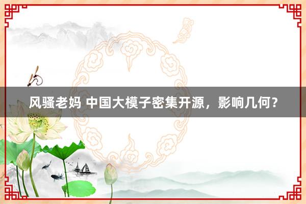 风骚老妈 中国大模子密集开源，影响几何？