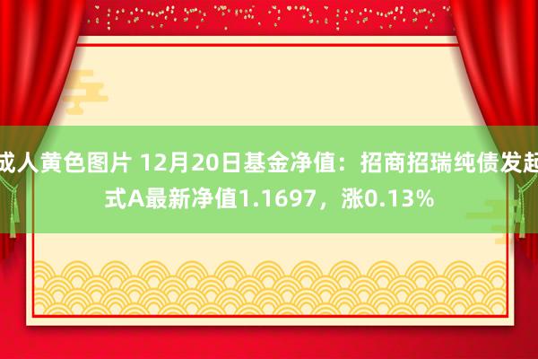 成人黄色图片 12月20日基金净值：招商招瑞纯债发起式A最新净值1.1697，涨0.13%