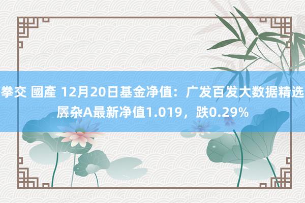 拳交 國產 12月20日基金净值：广发百发大数据精选羼杂A最新净值1.019，跌0.29%