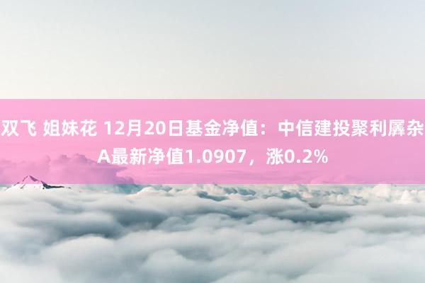 双飞 姐妹花 12月20日基金净值：中信建投聚利羼杂A最新净值1.0907，涨0.2%