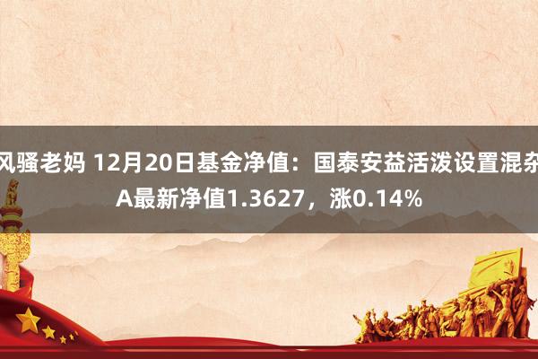 风骚老妈 12月20日基金净值：国泰安益活泼设置混杂A最新净值1.3627，涨0.14%