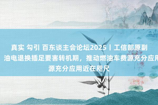 真实 勾引 百东谈主会论坛2025丨工信部原副部长苏波：油电退换插足要害转机期，推动燃油车费源充分应用近在咫尺