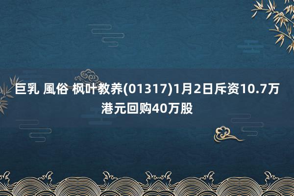 巨乳 風俗 枫叶教养(01317)1月2日斥资10.7万港元回购40万股