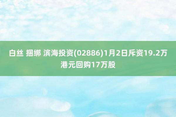 白丝 捆绑 滨海投资(02886)1月2日斥资19.2万港元回购17万股
