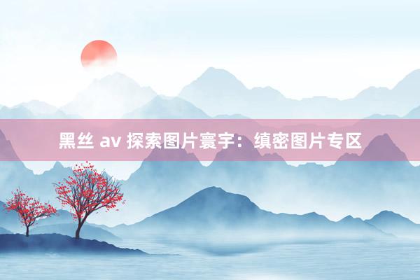 黑丝 av 探索图片寰宇：缜密图片专区