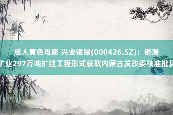 成人黄色电影 兴业银锡(000426.SZ)：银漫矿业297万吨扩建工程形式获取内蒙古发改委核准批复