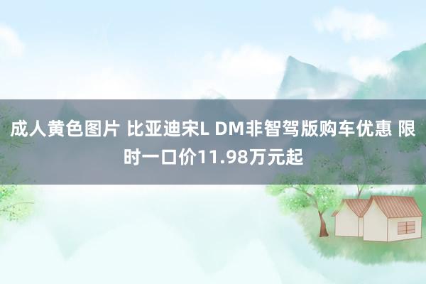 成人黄色图片 比亚迪宋L DM非智驾版购车优惠 限时一口价11.98万元起