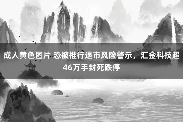 成人黄色图片 恐被推行退市风险警示，汇金科技超46万手封死跌停