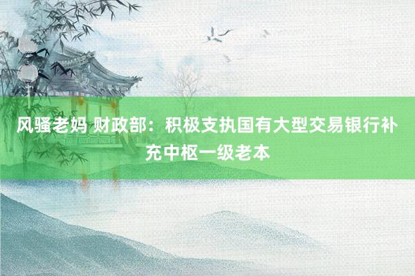 风骚老妈 财政部：积极支执国有大型交易银行补充中枢一级老本