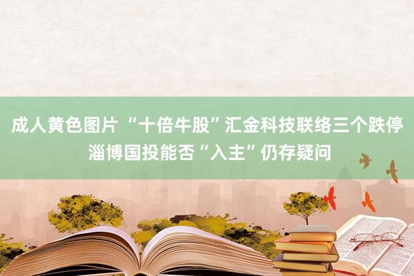 成人黄色图片 “十倍牛股”汇金科技联络三个跌停 淄博国投能否“入主”仍存疑问