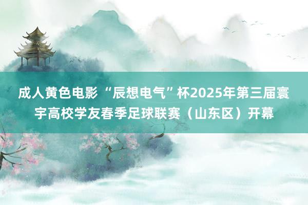 成人黄色电影 “辰想电气”杯2025年第三届寰宇高校学友春季足球联赛（山东区）开幕