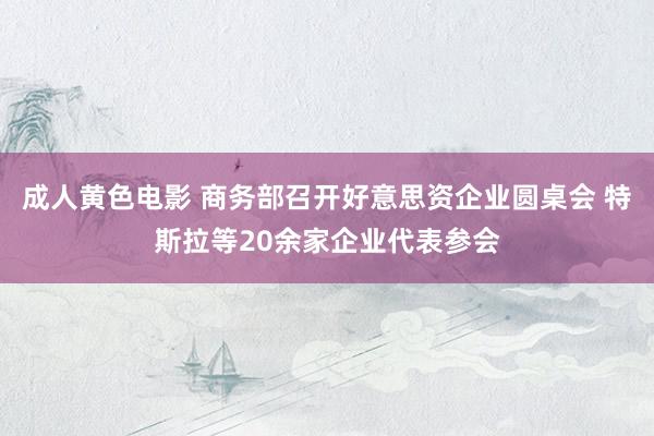 成人黄色电影 商务部召开好意思资企业圆桌会 特斯拉等20余家企业代表参会