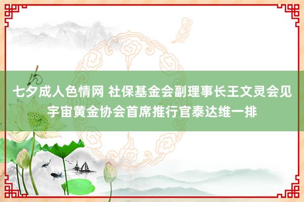 七夕成人色情网 社保基金会副理事长王文灵会见宇宙黄金协会首席推行官泰达维一排