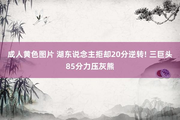 成人黄色图片 湖东说念主拒却20分逆转! 三巨头85分力压灰熊