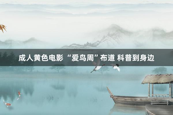 成人黄色电影 “爱鸟周”布道 科普到身边