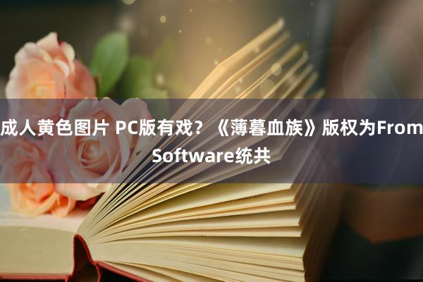 成人黄色图片 PC版有戏？《薄暮血族》版权为FromSoftware统共