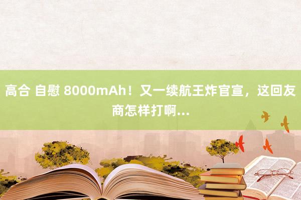 高合 自慰 8000mAh！又一续航王炸官宣，这回友商怎样打啊...