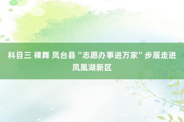 科目三 裸舞 凤台县“志愿办事进万家”步履走进凤凰湖新区