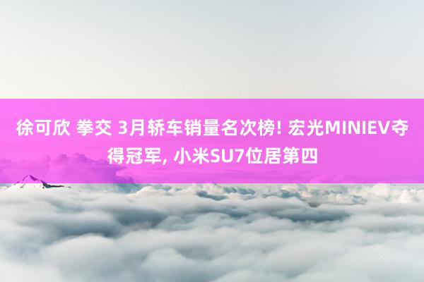 徐可欣 拳交 3月轿车销量名次榜! 宏光MINIEV夺得冠军， 小米SU7位居第四