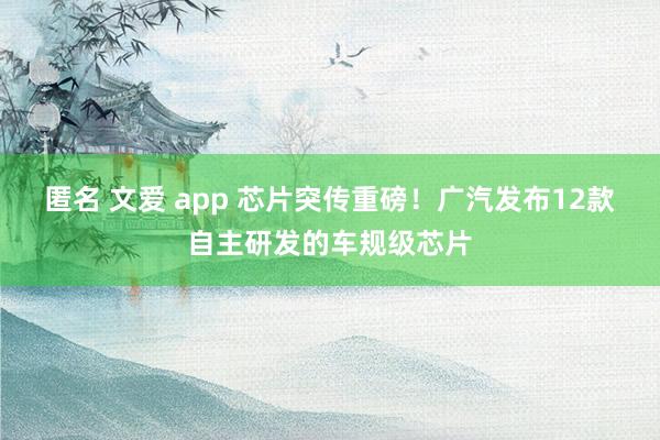匿名 文爱 app 芯片突传重磅！广汽发布12款自主研发的车规级芯片